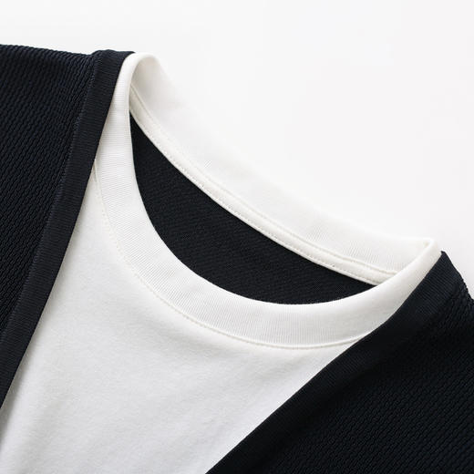 「高货wl」全新升级【铂金会员220/天猫289/差价69】(94111)洛诗琳气质兰精天丝假两件上衣2026夏季针织拼接短袖T恤 商品图2