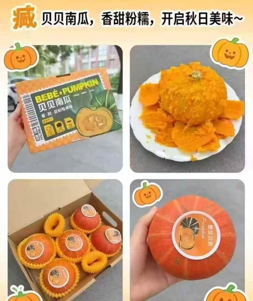 周三取货：【黄金贝贝南瓜】一箱3斤左右（5-6头）板栗口感，香甜粉糯。 商品图4