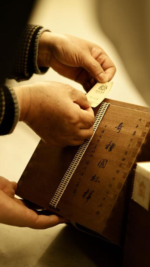 封藏丨2025年国标正岩奇种，武夷原生茶魂 商品图1