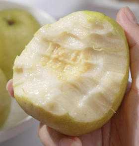 树上熟奶油芭乐（单颗）