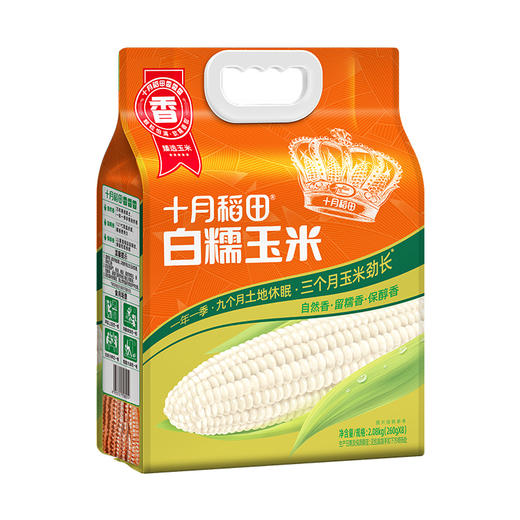 【香甜糯】东北糯玉米棒 |东北粘苞米|可拉丝真空 "1.新玉米！黄糯1.76kg220g*8根 2.新玉米！白糯玉米2.08kg260g*8根" 商品图4