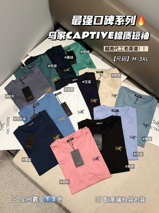 始祖鸟  CAPTIVE ARC'WORD SS棉质短袖T恤 全网最全1️⃣3️⃣色强悍来袭！！ 商品图0