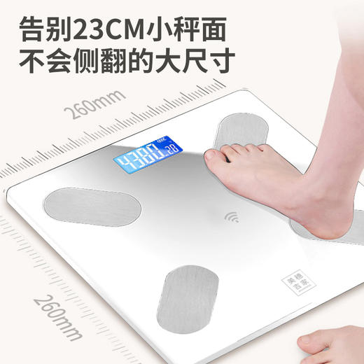 美穗吉家 蓝牙体脂秤USB充电款 TS-C67 商品图2