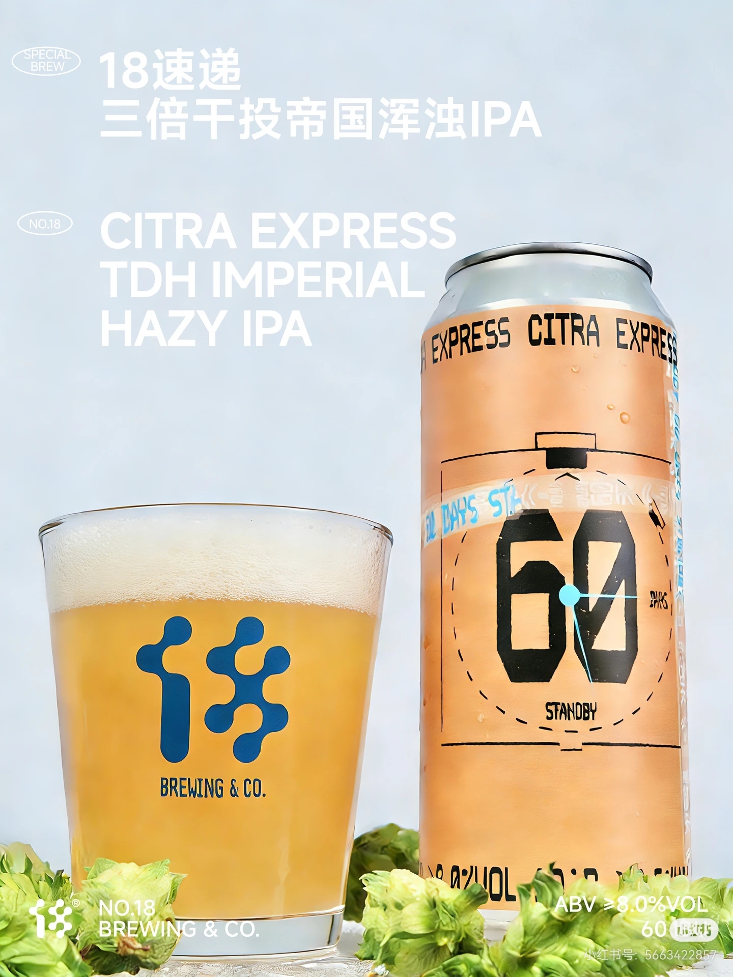 拾捌精酿 18速递 500ml