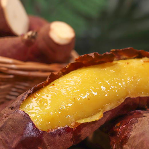 【云南好物】高原三色薯力 4.5斤 商品图4