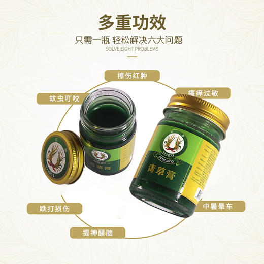 稻穗 青草膏50g（广东生产）数量：1 DSJH-3 商品图3