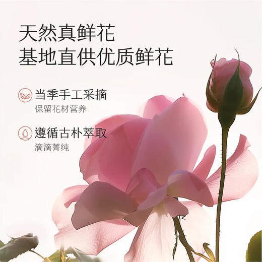 半亩花田 玫瑰(花瓣)香氛沐浴露750ml BMHT-235 商品图4