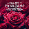【福东海】特优有机墨红玫瑰花茶50g 冻干云南重瓣玫瑰【无熏染级】大朵 商品缩略图3