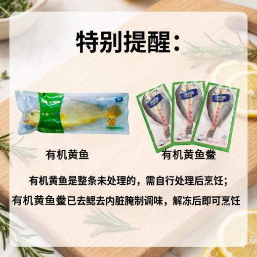 有机大黄鱼/有机黄鱼鲞，12项药残未检出，无抗有机双认证，生鲜冷冻安心美味，顺丰发货 商品图2