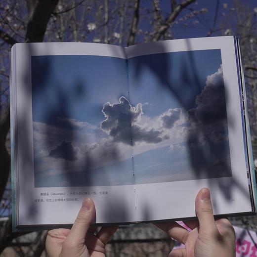 天气之书 商品图2