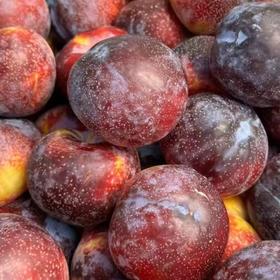 【BF】雪花李约650g/盒