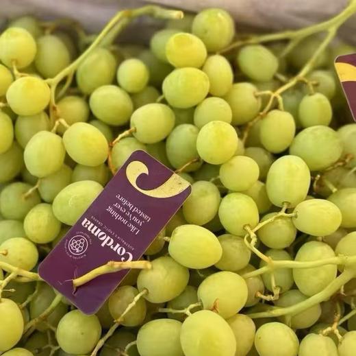 【BF】棉花糖青提500g 商品图0