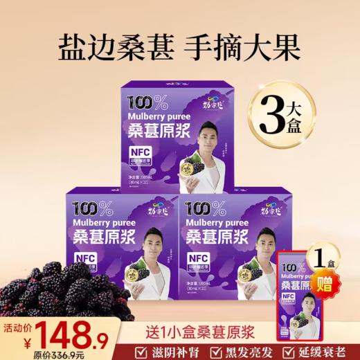 爆款-桑葚原浆 20袋/盒 商品图1