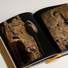 《对望：青州龙兴寺造像艺术》 商品缩略图5