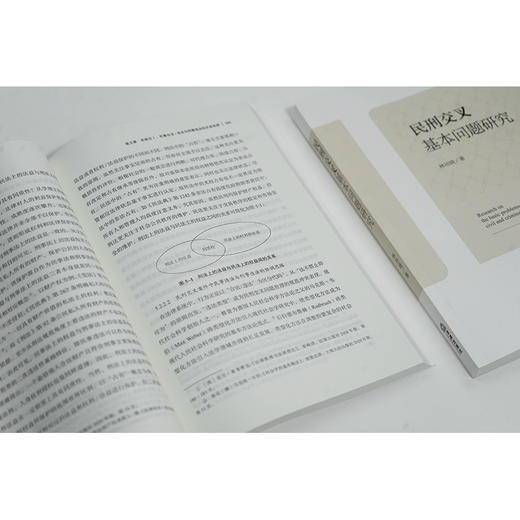 民刑交叉基本问题研究 林培晓著 法律出版社 商品图3