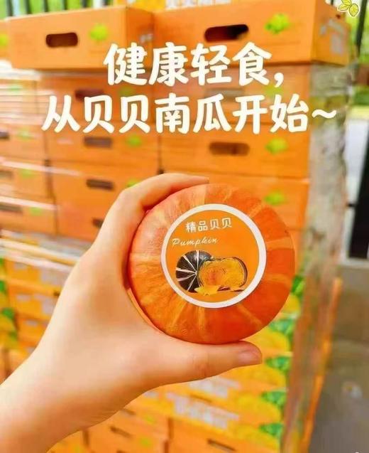 周三取货：【黄金贝贝南瓜】一箱3斤左右（5-6头）板栗口感，香甜粉糯。 商品图1