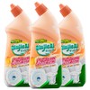 芊洁净 洁厕剂 （白桃味和柠檬味）700ml*3 6973025870993-3 商品缩略图1