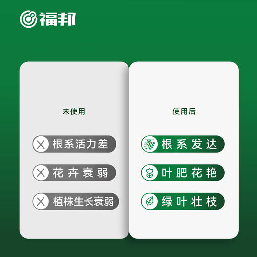 福邦液体肥安小主酵母靓叶素 商品图4