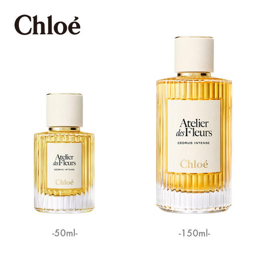 Chloe蔻依深林雪松浓香水150ml 商品图4