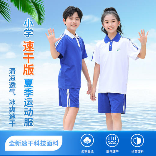 青之树【速干抑菌款】小学夏装运动服 【深圳市中小学校服供应商】 51深圳校服A 商品图0