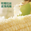 【江苏农垦】响垦臻品丨白甜糯玉米 2kg（10根） 商品缩略图1