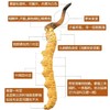 神象西藏那曲冬虫夏草6克扎花自用小草非培育 商品缩略图2