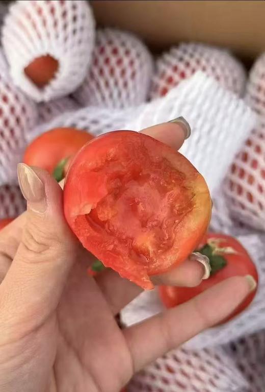 【会员23.5/斤】羽翼妃翠高糖番茄 商品图4