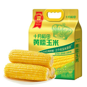 【香甜糯】东北糯玉米棒 |东北粘苞米|可拉丝真空 "1.新玉米！黄糯1.76kg220g*8根 2.新玉米！白糯玉米2.08kg260g*8根"