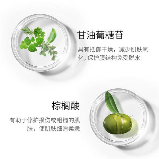 起泡网免费送【早晚搭配 双重净肤】玖美堂氨基酸清柔洗面奶 深层补水保湿控油小白管 烟酰胺洁面乳 商品图2