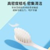 FROG青蛙 柔护系列-971牙刷C6版（电商版） QR971 商品缩略图4