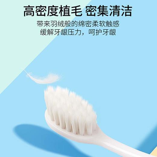 FROG青蛙 柔护系列-971牙刷C6版（电商版） QR971 商品图4