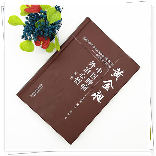 黄金昶中医肿瘤外治心悟（第二版）黄金昶 田桢 徐林 著 中国中医药出版社 商品图1