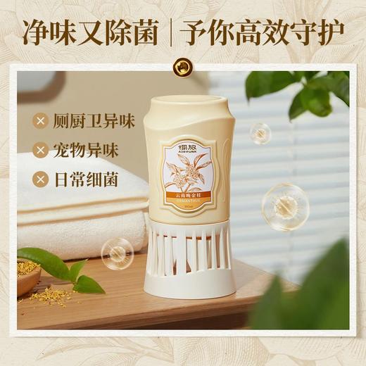 airfunk椰放倒置香薰  除臭除异味厕所室内空气清新剂持久留香氛3.289 商品图6