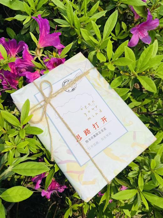 【赠送定制卡片】“大学问”盲盒  图书市集限定盲盒 广西师范大学出版社 单本装 商品图3