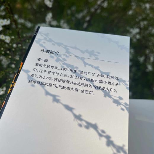 子弟 | 黄景瑜、关晓彤主演影视剧《岁月有情时》原著，三线工厂里的《小巷人家》 商品图4