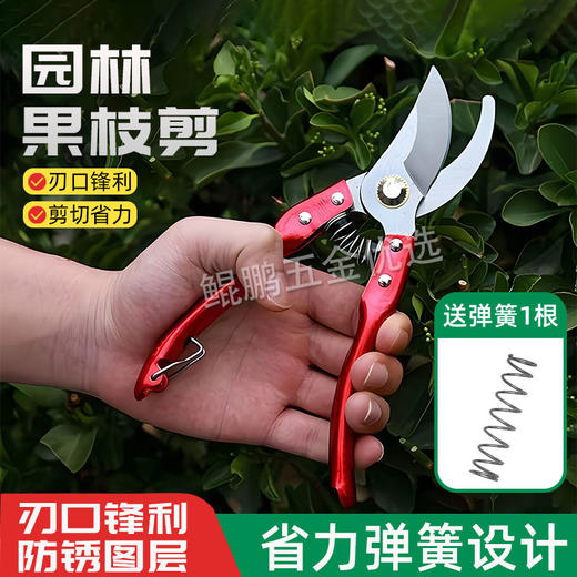 【货号010017】多功能园艺修枝剪粗枝细枝园林小树修剪刀 商品图0