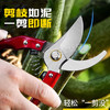 【货号010017】多功能园艺修枝剪粗枝细枝园林小树修剪刀 商品缩略图1