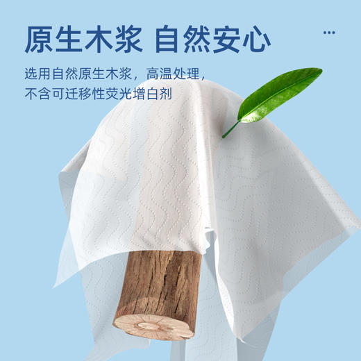 植护 气垫有芯卫生纸（碎冰蓝系列）12卷*1提 ZH408735N12 商品图3