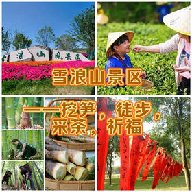 【无锡专拍】【春假・采茶挖笋】带娃进山撒野！山谷秘藏竹园，向往的田园生活，限时限量抢位！（4月4日 散拼团，自驾）