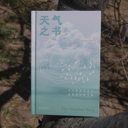 天气之书 商品图4