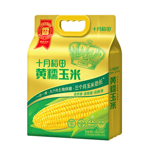 【香甜糯】东北糯玉米棒 |东北粘苞米|可拉丝真空 "1.新玉米！黄糯1.76kg220g*8根 2.新玉米！白糯玉米2.08kg260g*8根" 商品图5
