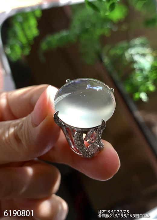 玻璃种蛋面戒指【6190801】具体价格微信咨询 商品图2