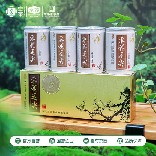 2026新茶采花毛尖明前贡芽特级品韵梅款礼盒装 48g*8 商品图1