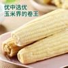 【江苏农垦】响垦臻品丨白甜糯玉米 2kg（10根） 商品缩略图2