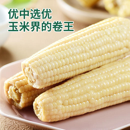 【江苏农垦】响垦臻品丨白甜糯玉米 2kg（10根） 商品图2
