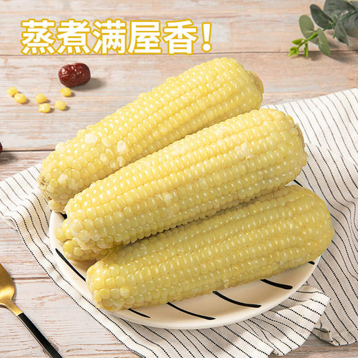 【江苏农垦】响垦臻品丨白甜糯玉米 2kg（10根） 商品图5