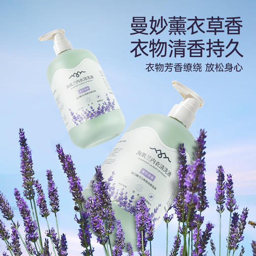 海肌兰 内衣清洗液520ml薰衣草泵头款*1+80ml*1 6975415470202 商品图3