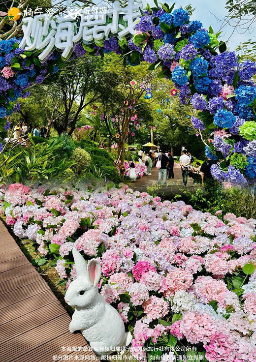 【花海古韵】珠海唐家湾古镇+横琴花海长廊纯玩1天游 商品图2