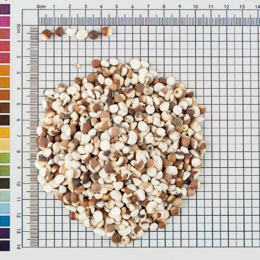 芡实中药饮片500g/袋独立包装大规格道地中药材九州通 商品图1