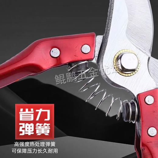 【货号010017】多功能园艺修枝剪粗枝细枝园林小树修剪刀 商品图2